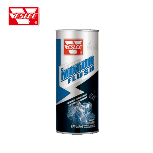 Motor Flush