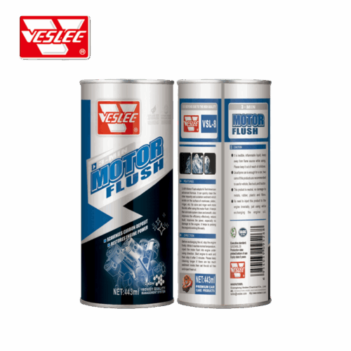 Motor Flush